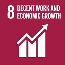 SDG 8 Decent Work