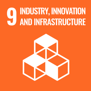 SDG 9 Industry Innovation